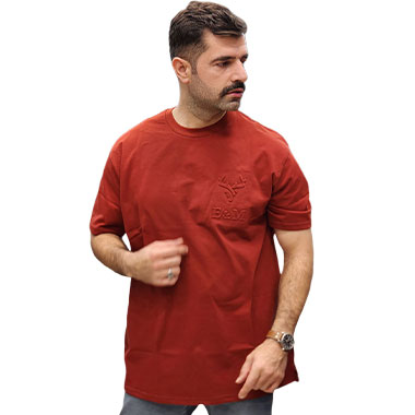 تیشرت سایز بزرگ مردانه کد محصول tin2284