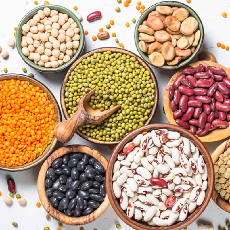 غذاهای پروتئینی