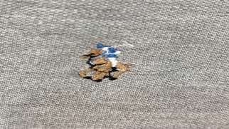 تصویر محصول